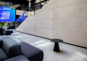 balticdeco_CYBERCITY_monolito_imitacija_dekoapdaila