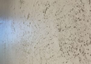 Moderni ir funkcionali "BRONX" Dekoratyvinė Sienų Apdaila: