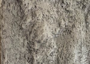 dekoratyvine reljefinė apdaila | Sushi Masters Restoranas Vilniuje