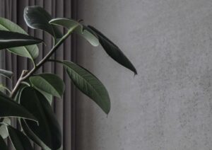 monolito imitacija, dekoratyvine apdaila, betono diena, interjeras, jaukus namai