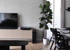 monolito imitacija, dekoratyvine apdaila, betono diena, interjeras, jaukus namai